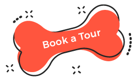 https://turtletaido.ng/wp-content/uploads/2019/08/book_tour.png